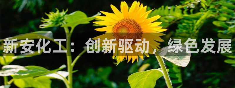 球盟会里面有打牌的嘛：新安化工：创新驱动，绿色发展