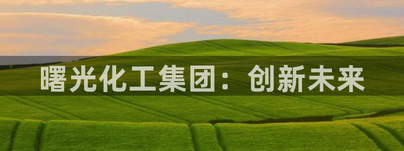 球盟会中国网页登录：曙光化工集团：创新未来