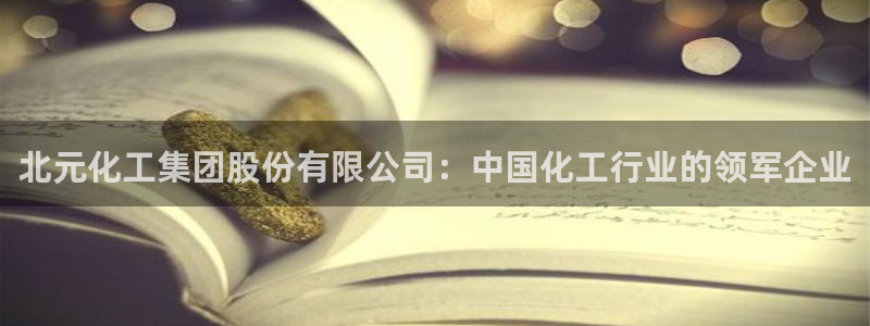 球盟会吧：北元化工集团股份有限公司：中国化工行业的领军企业