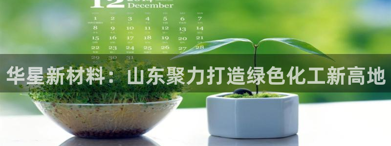 球盟会娱乐平台：华星新材料：山东聚力打造绿色化工新高地