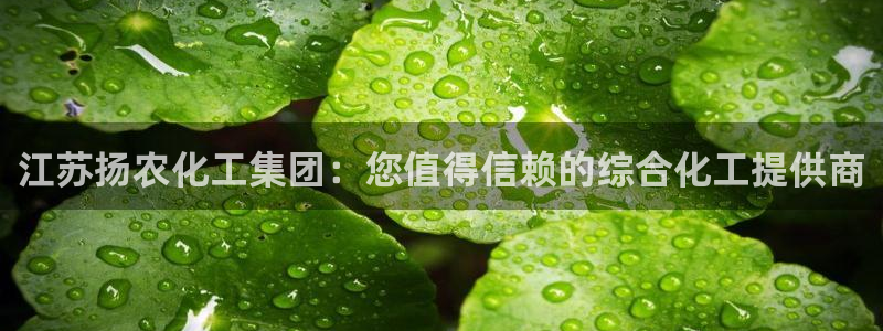 球盟会下款快吗：江苏扬农化工集团：您值得信赖的综合化工提供商