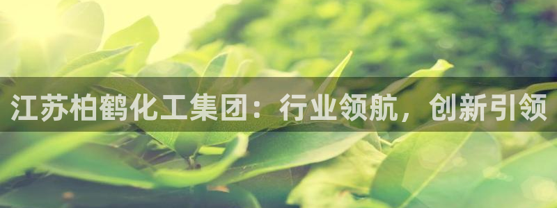 球盟会app最新地址下载安装：江苏柏鹤化工集团：行业领航，创