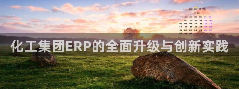 球盟会黑：化工集团ERP的全面升级与创新实践
