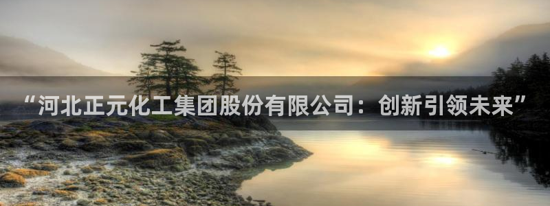球盟会登录平台：“河北正元化工集团股份有限公司：创新引领未来