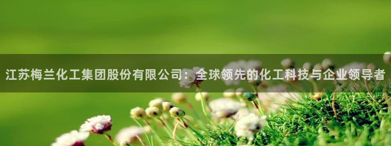 球盟会封号：江苏梅兰化工集团股份有限公司：全球领先的化工科技