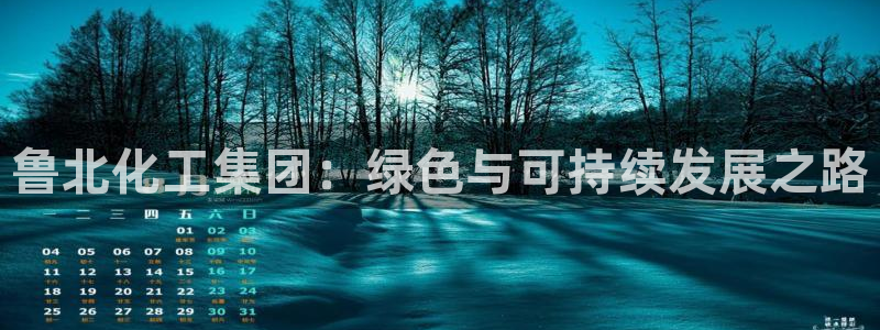 球盟会黑嘛：鲁北化工集团：绿色与可持续发展之路