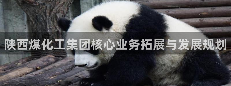 球盟会用的客服聊天是哪个软件：陕西煤化工集团核心业务拓展与发