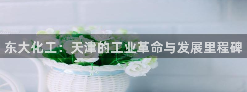 球盟会论坛：东大化工：天津的工业革命与发展里程碑