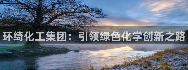 球盟会用的客服聊天是哪个软件