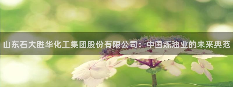 球盟会黑台：山东石大胜华化工集团股份有限公司：中国炼油业的未