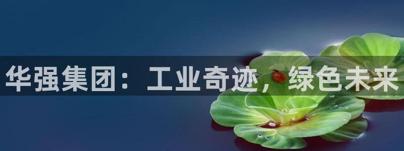球盟会和中欧会的区别：华强集团：工业奇迹，绿色未来