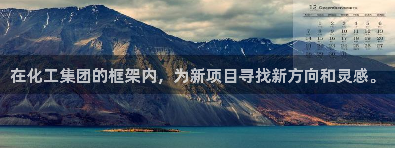 球盟会进不去：在化工集团的框架内，为新项目寻找新方向和灵感。
