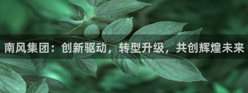 球盟会优惠券：南风集团：创新驱动，转型升级，共创辉煌未来