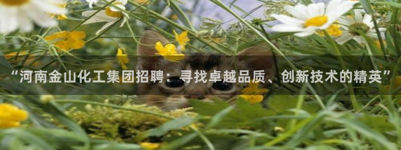 球盟会能提现吗安全吗：“河南金山化工集团招聘：寻找卓越品质、