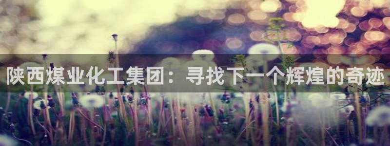 球盟会国际官网：陕西煤业化工集团：寻找下一个辉煌的奇迹