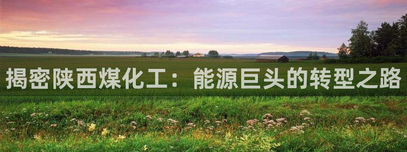 球盟会登录网址