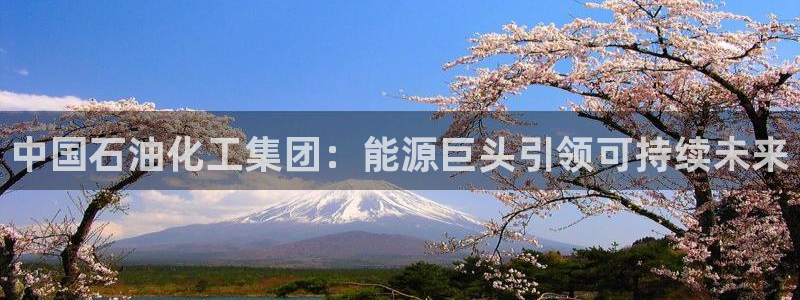 球盟会体育平台：中国石油化工集团：能源巨头引领可持续未来