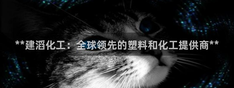 球盟会乐虎：**建滔化工：全球领先的塑料和化工提供商**