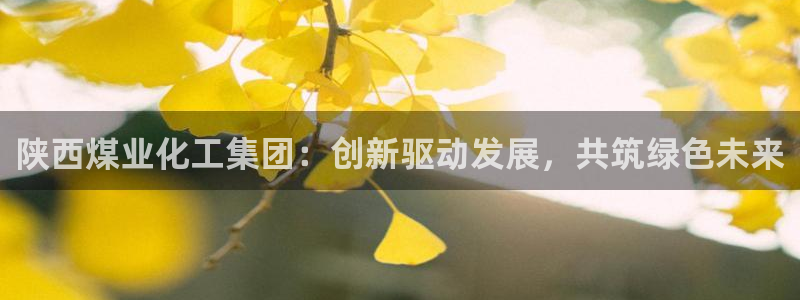 球盟会app最新地址在哪看：陕西煤业化工集团：创新驱动发展，