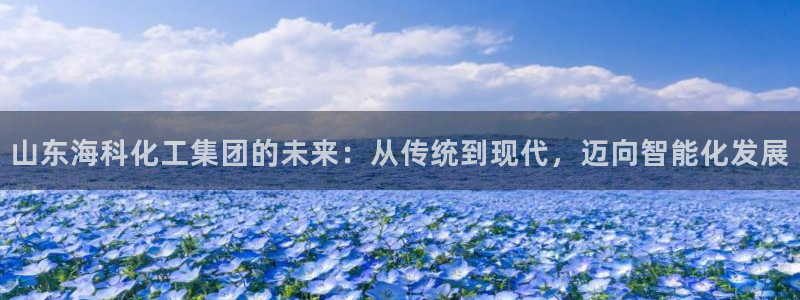 球盟会黑台子：山东海科化工集团的未来：从传统到现代，迈向智能