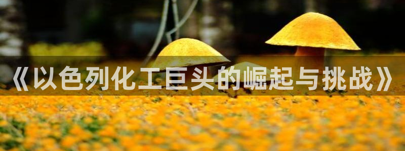 球盟会用的客服聊天是哪个软件：《以色列化工巨头的崛起与挑战》