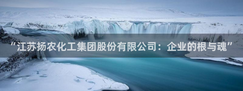 球盟会qmh：“江苏扬农化工集团股份有限公司：企业的根与魂”