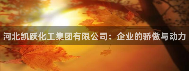 球盟会吧：河北凯跃化工集团有限公司：企业的骄傲与动力