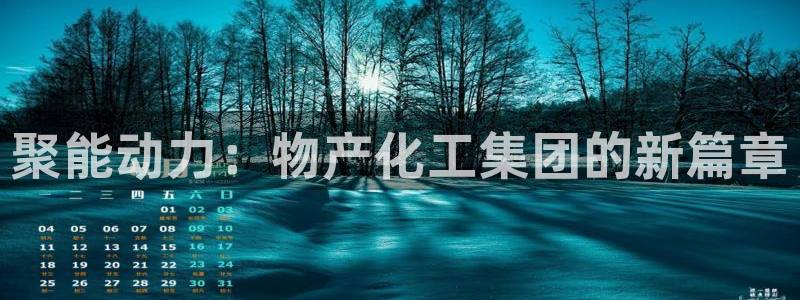 球盟会论坛：聚能动力：物产化工集团的新篇章