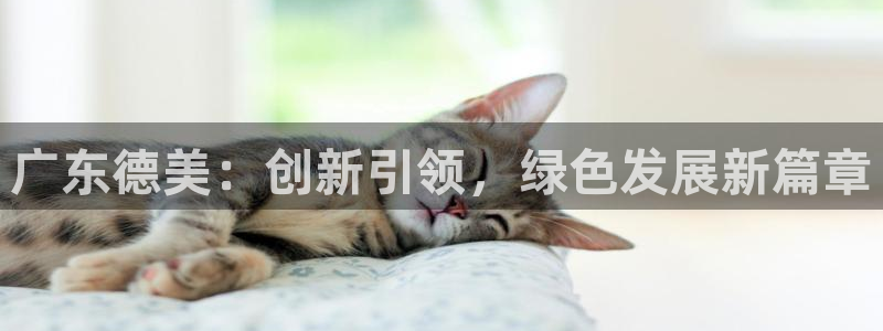 球盟会官方网站：广东德美：创新引领，绿色发展新篇章