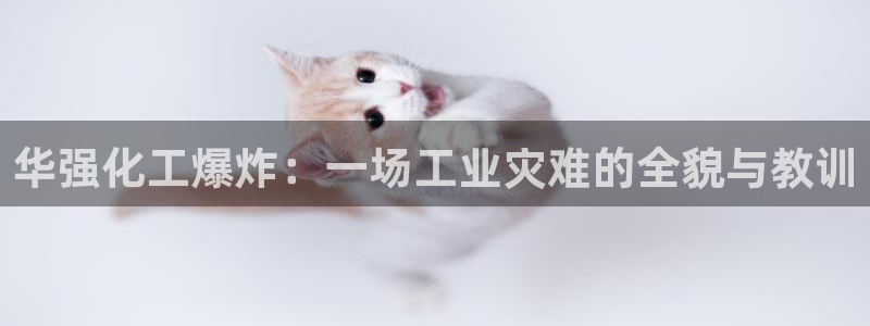 球盟会有没有黑单的球员：华强化工爆炸：一场工业灾难的全貌与教