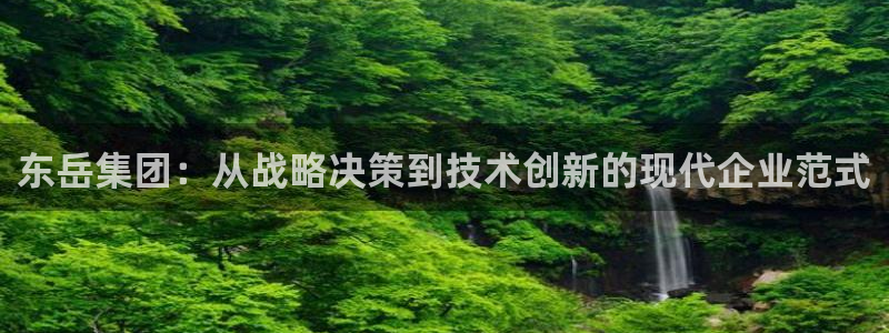 球盟会登陆：东岳集团：从战略决策到技术创新的现代企业范式