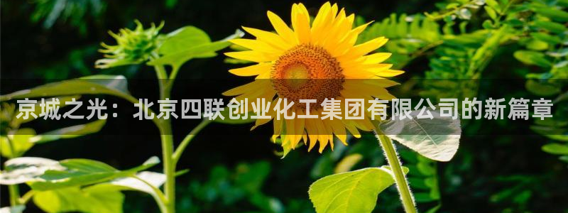球盟会提款支付宝怎么样：京城之光：北京四联创业化工集团有限公