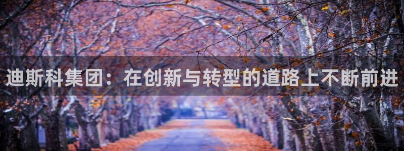 球盟会综合体育平台：迪斯科集团：在创新与