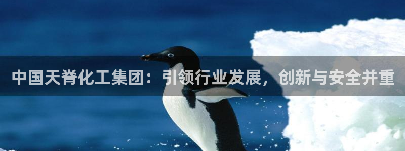 球盟会官方网站：中国天脊化工集团：引领行业发展，创新与安全并