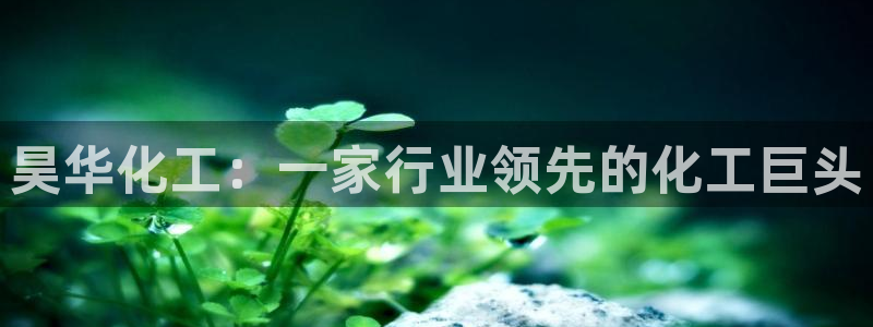 球盟会官方登录平台入口