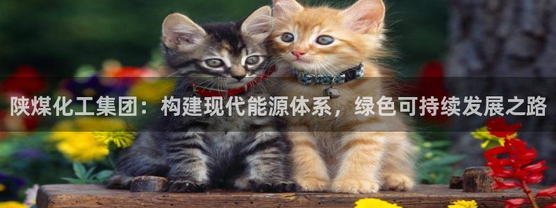 球盟会体验金：陕煤化工集团：构建现代能源体系，绿色可持续发展