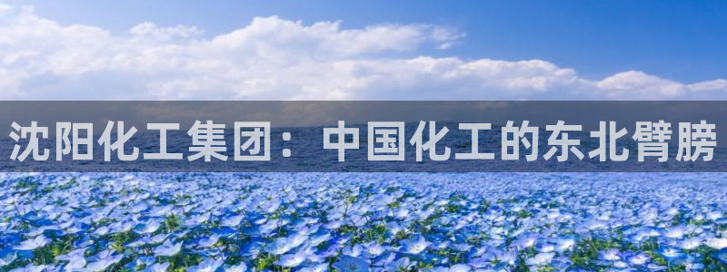 球盟会有没有黑单的人