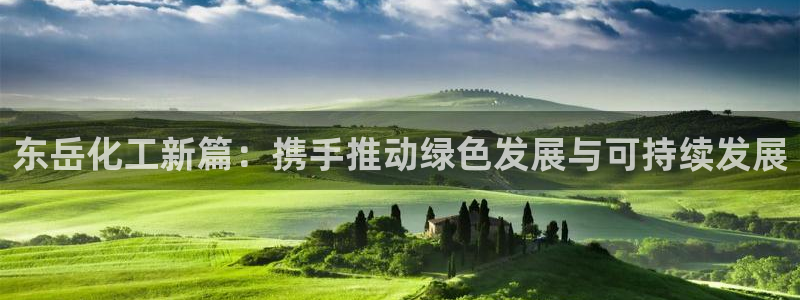球盟会电子：东岳化工新篇：携手推动绿色发展与可持续发展