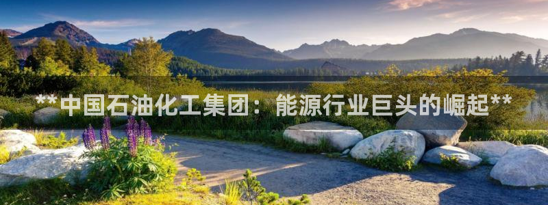 球盟会app最新地址在哪看：**中国石油