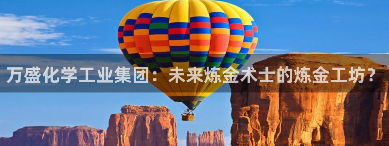 球盟会app网址多少：万盛化学工业集团：
