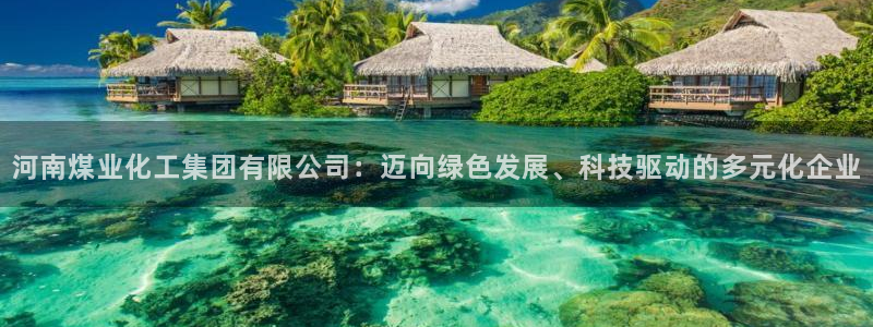 球盟会qm：河南煤业化工集团有限公司：迈向绿色发展、科技驱动