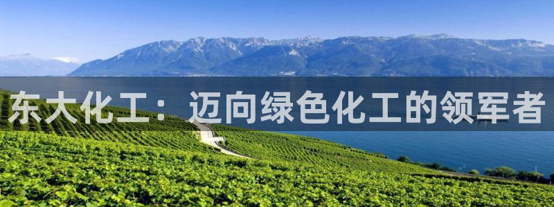 球盟会登录入口