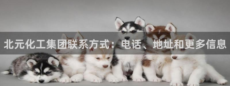 球盟会电子：北元化工集团联系方式：电话、地址和更多信息
