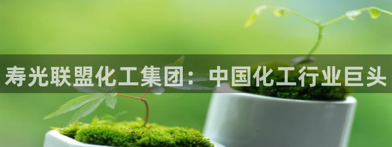 球盟会官方网站入口