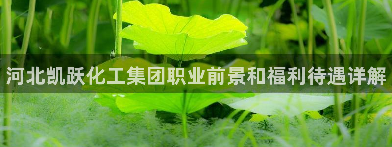 球盟会平台会黑单吗：河北凯跃化工集团职业前景和福利待遇详解