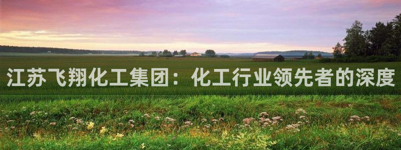 球盟会官网：江苏飞翔化工集团：化工行业领先者的深度