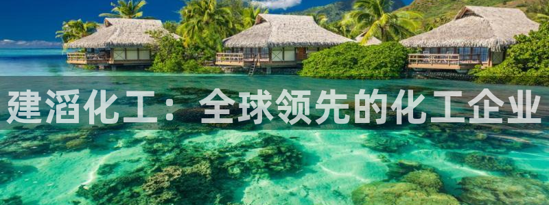 球盟会手机网页版：建滔化工：全球领先的化工企业