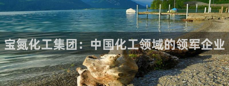 球盟会网页登录入口