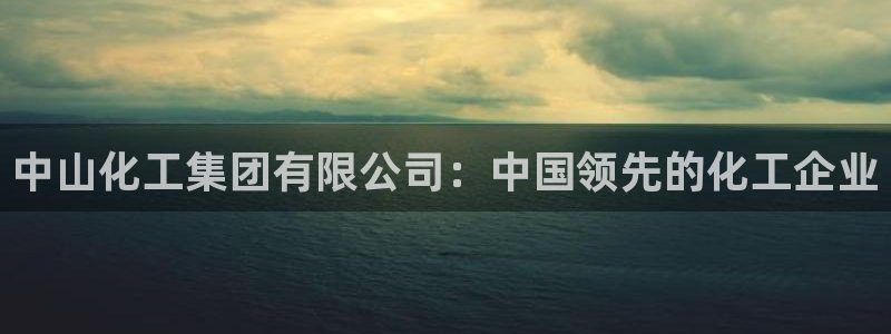 球盟会App：中山化工集团有限公司：中国领先的化工企业