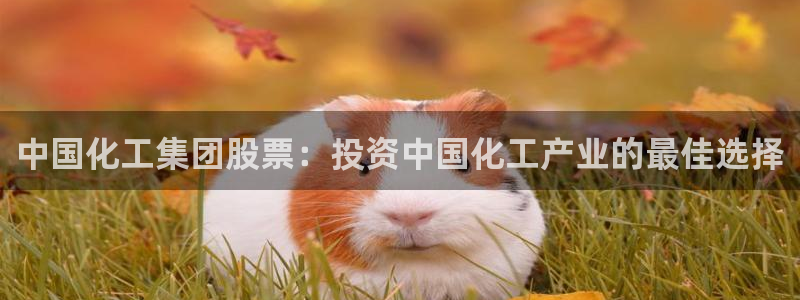 球盟会能退钱吗：中国化工集团股票：投资中国化工产业的最佳选择